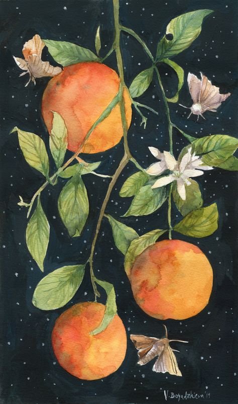 Nature, Orange Blossoms Painting, Orange Blossom Painting, Orange Fruit Aesthetic Wallpaper, Orange Blossom Drawing, Orange Blossom Illustration, Orange Blossom Aesthetic, Oranges Tattoo, Orange Fruit Painting