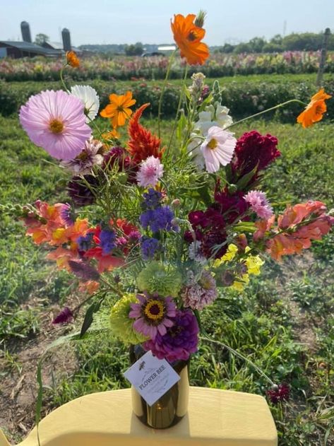 They never use pesticides in the flower patch. The farm’s practices help the farm produce some very healthy and beautiful flowers! Visit Wisconsin, Flower Farms, Flowers Farm, Witches Cottage, Pick Flowers, Farm Flowers, Garden Inspo, Plant Covers, Favorite Flower