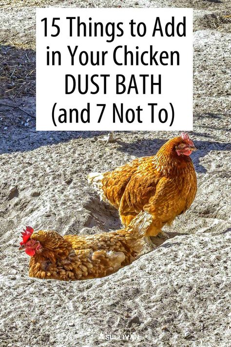 Diy Chicken Chunnels, Diy Chicken Bed Ideas, Dust Baths For Chickens Ideas, Rubber Mats For Chicken Coop, Winter Dust Bath For Chickens, Dusting Bath For Chickens, Chicken Soaking Tub, Tire Dust Bath For Chickens, Dust Bath Box For Chickens