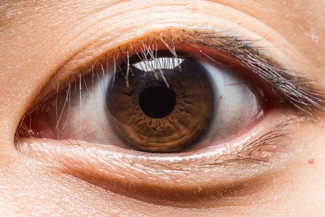 These Macro Photos Reveal The Awesome Diversity Of Human Pupil Shapes, Remove Dark Circles Under Eyes, Brown Eyes Aesthetic, Eye Reference, Iris Eye, Hazel Green Eyes, Head Anatomy, Human Eyes, Eye Pictures