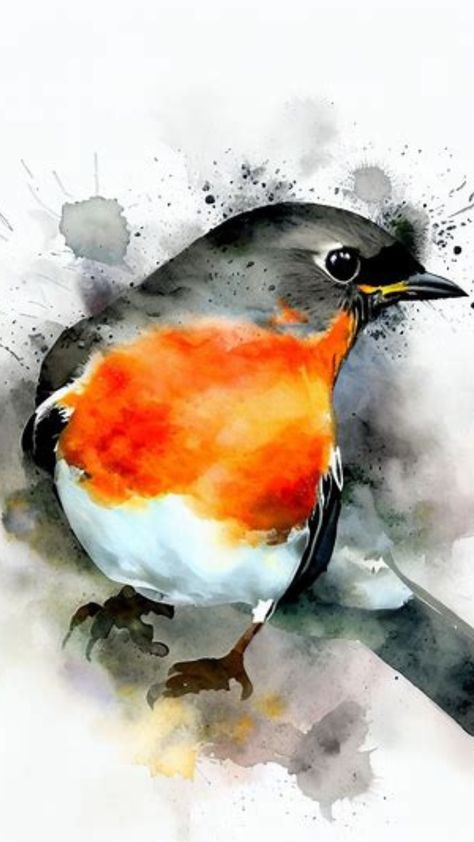 Watercolour Birds Painting, Watercolor Robin, Red Robbin, Bird Sketches, Robin Painting, Robin Bird Tattoos, Robin Drawing, Watercolour Birds, Birds Drawing