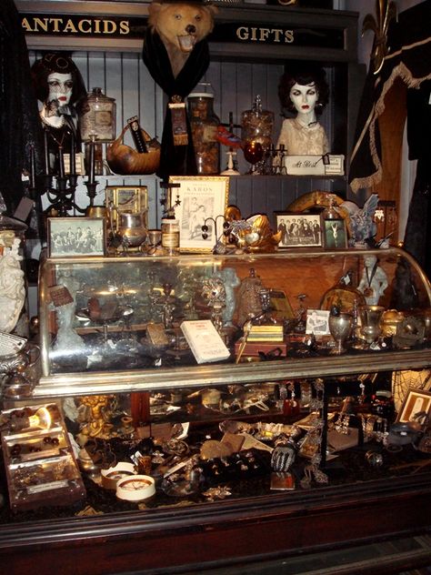 Gothic Store Interior, Old Antique Shop, Weird Antiques, Antique Shop Aesthetic, Antique Store Aesthetic, Tea Room Interior, Gothic Store, Vintage General Store, General Store Display
