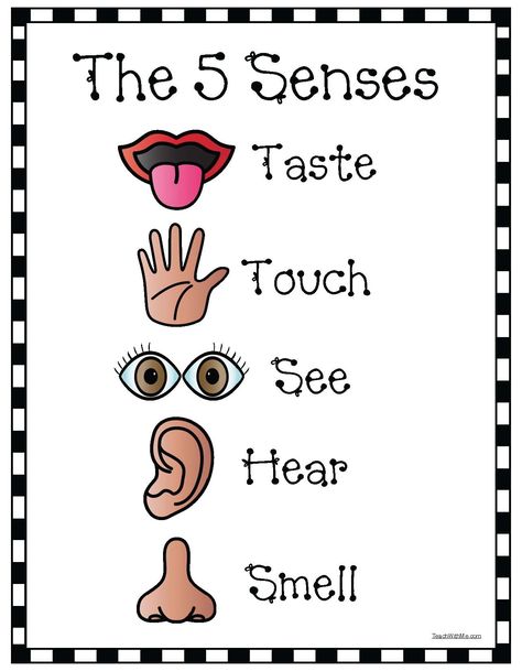 5 Senses Anchor Chart, Senses Anchor Chart, 5 Senses Craft, Five Senses Worksheet, Five Senses Preschool, 5 Senses Activities, Senses Preschool, My Five Senses, Senses Activities