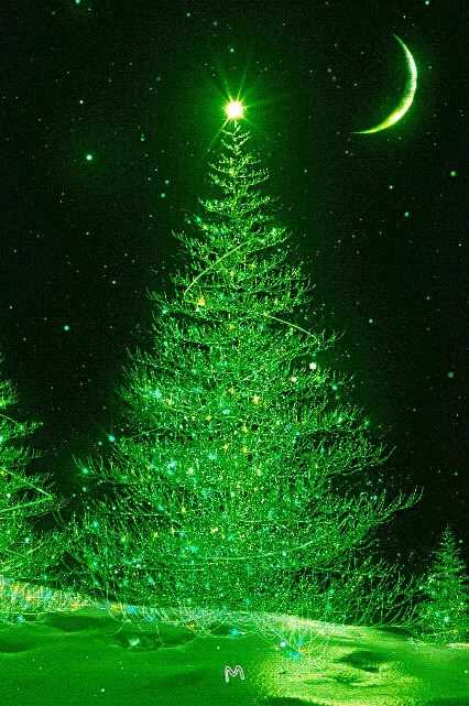 Christmas Tree Gif, Animated Christmas Tree, Christmas Greetings Quotes, Beautiful Christmas Scenes, Winter Christmas Scenes, Christmas Wallpaper Free, Christmas Tree Pictures, Merry Christmas Wallpaper, Merry Christmas Gif