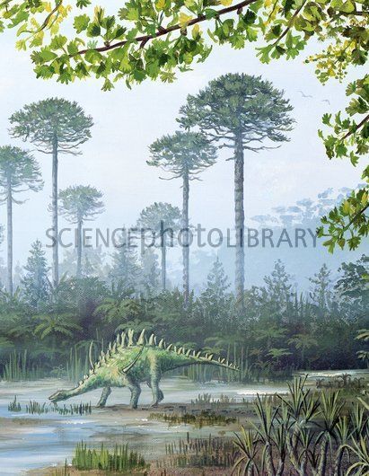 Life Artwork, Jurassic Period, Prehistoric Wildlife, Dinosaur Wallpaper, All Dinosaurs, Dinosaur Illustration, Prehistoric World, Prehistoric Art, Fantasy Forest