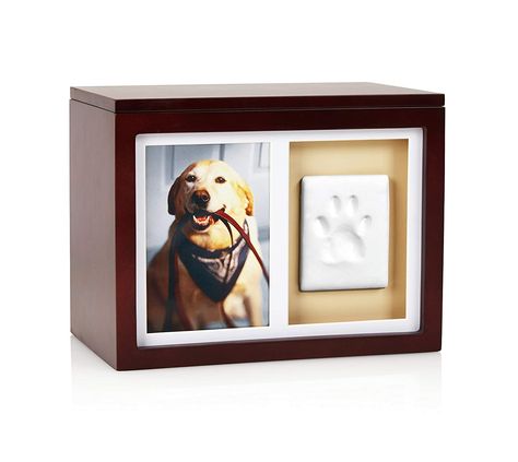 Pearhead Dog Or Cat Paw Prints Pet Memory Box With Clay Imprint Kit, Perfect Pet Memorial Espresso -- Sincerely hope you actually do love our image. (This is our affiliate link) #catmemorials Cat Paradise, Cat Paw Prints, Pet Memory, Small Photo Albums, Pet Cremation Urns, Wooden Memory Box, Memories Box, Dog Urns, Pet Keepsake