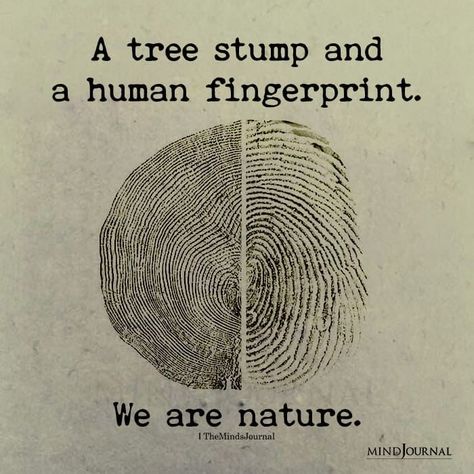 A tree stump and a human fingerprint. We are nature. #spiritualseeker #awakening Tree Stump And Human Fingerprint, Spiritual Nature Quotes, The Giving Tree Quotes, Human Nature Art, Quotes About Trees, Nature Thoughts, Love Nature Quotes, Human Nature Quotes, Art From Nature