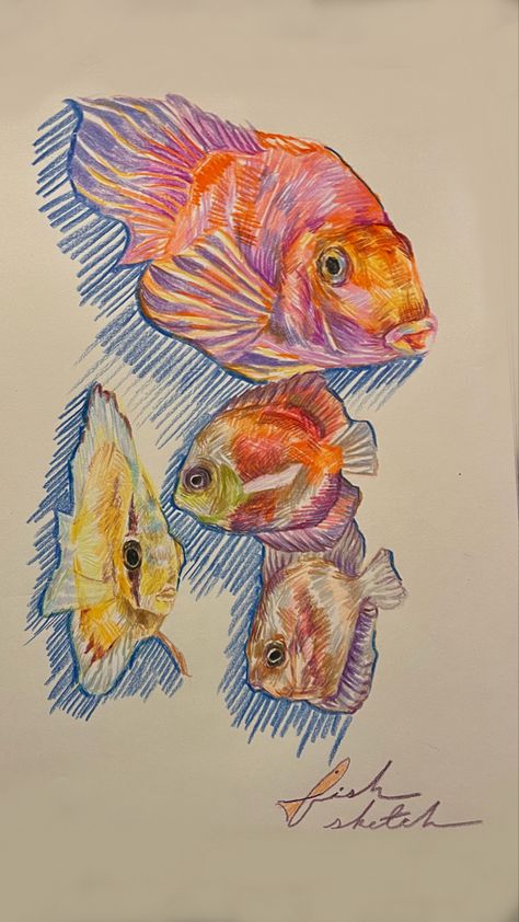 aesthetic drawing, art inspo, sketch inspo, pencil crayon sketch, colorful sketch, realistic style sketch, fish drawing, ap art, advanced art inspo, art portfolio inspo, daily sketch inspo Koi Fish Realistic Drawing, Colorful Pen Sketches, Colored Pencil Ocean Drawing, Color Pencils Sketch, Underwater Colored Pencil Drawing, Fish Crayon Drawing, Colored Pencil Fish Drawing, Color Pencil Art Inspiration, Koi Fish Colored Pencil