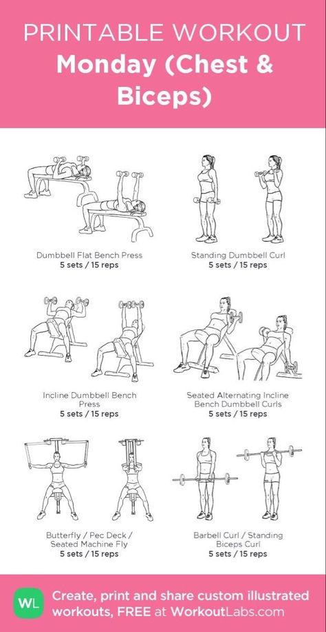 Gym Workout Chest For Women, Chest And Biceps Workout Women, Workout Sets And Reps Gym, Gym Workout Biceps, Back And Chest Workout Women Gym, Biceps Chest Workout, Dumbbell Chest And Back Workout, Bicep And Chest Workout Women, Womens Planet Fitness Workout