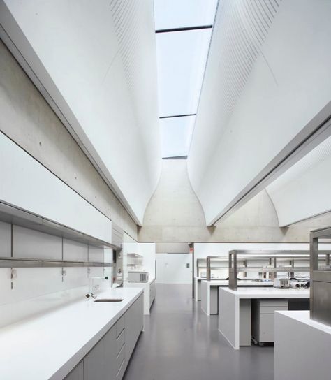 Bruce and Tony would be squealing in delight right about about now. Because LABORATORIES. Stanton Williams, Laboratory Design, Glass Curtain Wall, University Of Cambridge, Plant Science, Laboratory Science, Research Lab, Science Lab, Pop Design