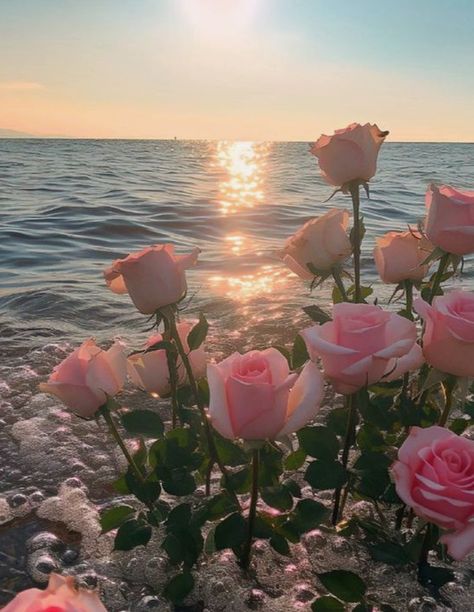 golden hour roses in the ocean, mermaid core sirencore waves sunset pink flowers floating in the water aura dreamy aesthetic divine feminine energy healing water waves bubbles Rosé Core, Feminine Wallpaper, Water Aesthetic, Rosé Aesthetic, Nothing But Flowers, Pretty Landscapes, Wallpaper Nature Flowers, Flower Therapy, Pink Sunset