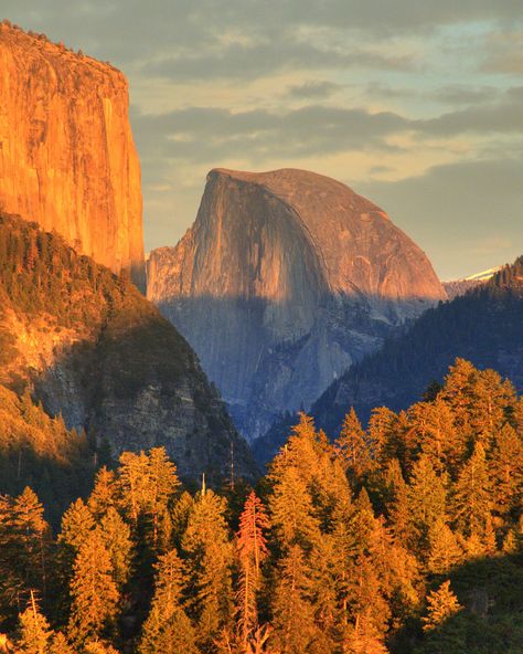 Nature, Yosemite Photography, Colorado National Parks, Wanderlust Tattoo, Wanderlust Decor, Yosemite Park, National Park California, Mountain Tattoo, Yosemite Valley