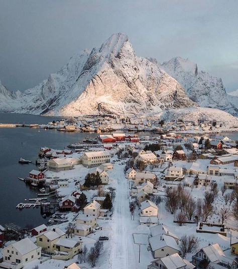 Lofoten, Tromso, Norway Winter, Winter Aesthetics, Norway Nature, Environment Reference, Lofoten Norway, Europe Winter, Nordic Countries