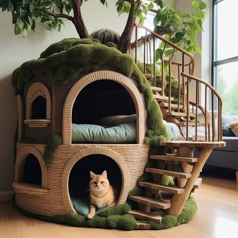 Dresser To Cat House, Catification Ideas Diy, Mini Cat Room, Cute Cat Tower, Kitten Ideas, Katt Diy, Cat Room Decor, Cat Playhouse, Katt Grejer