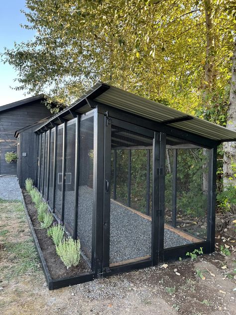 Chicken Coop - Garden Chicken Coop Layout, L Shape Chicken Coop, Cinder Blocks Around Chicken Coop, All Black Chicken Coop, Diy Chicken Coop 20 Chickens, Chicken Coop Garden Shed, L Shaped Chicken Coop And Run, Backyard Garden And Chicken Coop, Rooftop Chicken Coop