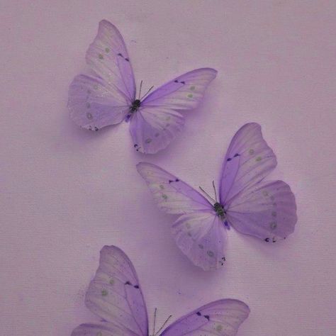 Lavender Widgets Aesthetic, Purple Butterfly Widget, Light Purple Widgets, Pale Purple Aesthetic, Soft Lavender Aesthetic, Soft Lilac Aesthetic, Purple Aesthetic Icons, Purple Aesthetic Widget, Purple Widget Aesthetic