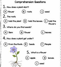 Parts of the plant: reading comprehension Language: English Grade/level: 2nd Grade School subject: Natural Science Main content: Parts of a plant Other contents: Plant Parts Worksheet, Part Of The Plants Worksheet, Worksheet For 2nd Grade, Evs Worksheet, English Comprehension, Worksheet For Class 2, Parts Of The Plant, Human Body Worksheets, Grade 2 Science