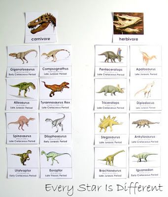 Dinosaur Unit 3 with FREE Printables - Every Star Is Different Montessori, Dinosaur Flashcards Free Printable, Dinosaur Printables Free, Dinosaur Lessons For Preschool, Dinosaurs Names And Pictures, Montessori Dinosaur, Dinosaurs Names, Free Dinosaur Printables, Dinosaur Unit Study