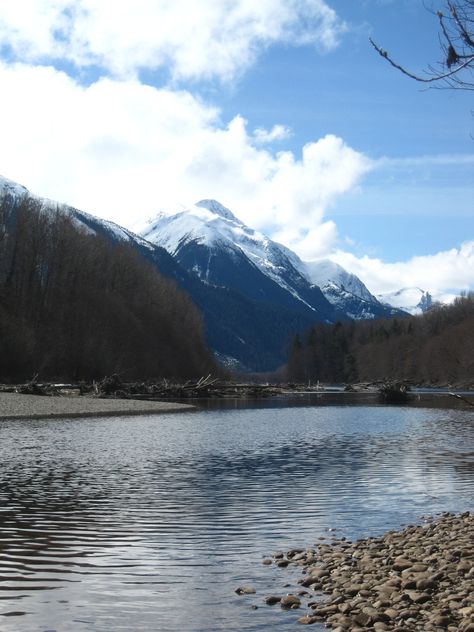 The Skeena River, Prince Rupert, BC Terrace, Alaska, British Columbia, Prince Rupert, Olden Days, Grizzly Bear, Mount Rainier, Columbia, Prince