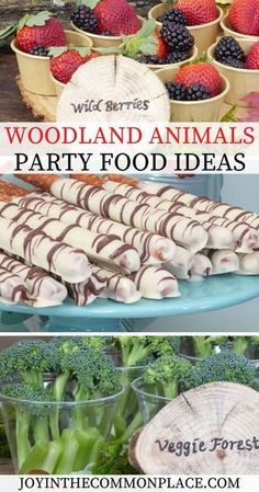 Woodland Snacks, Forest Party Food, Animal Party Ideas, Animals Birthday Party Decorations, Woodland Animal Cake, Forest Baby Shower Theme, Woodland Animal Party, Woodland Baby Shower Food, Baby Shower Appetizers