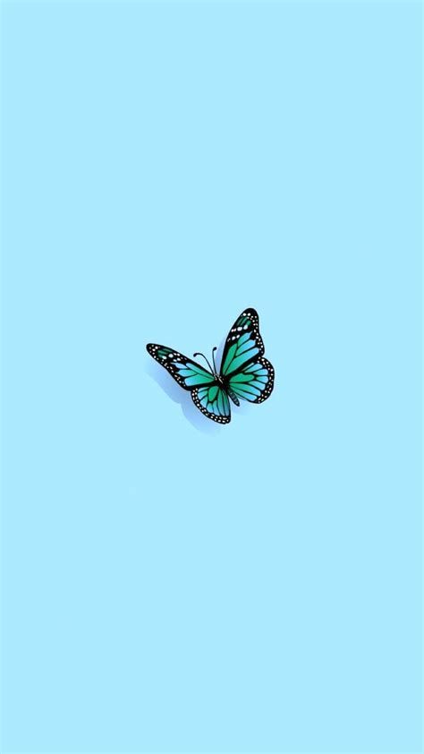 𝓅𝒾𝓃𝓉𝑒𝓇𝑒𝓈𝓉: 💕𝙙𝙮𝙡𝙖𝙣💕 | Butterfly Wallpaper Iphone, Aesthetic