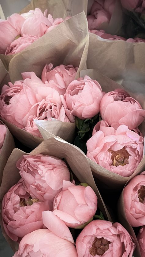 Piones Flowers, Pink Peonies Wallpaper, Foto Kelakar, Romanticising Life, Peony Wallpaper, The Diary, Blush Pink Weddings, Flower Therapy, Peonies Bouquet