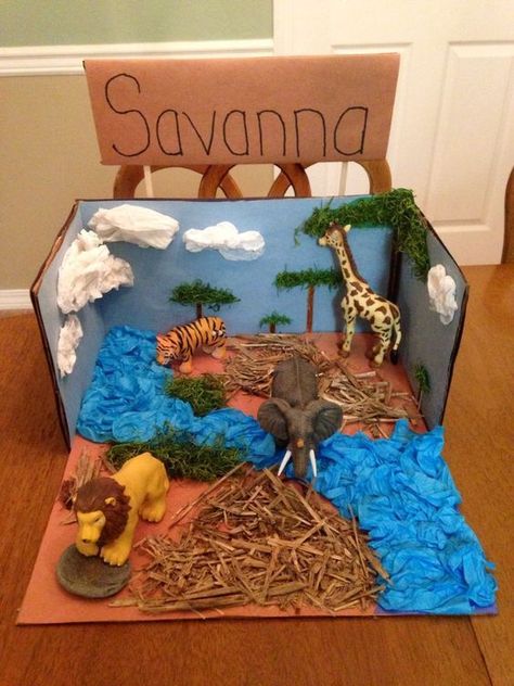 My Daughters 3rd Grade Project, Diorama Of African Ecosystems Diorama, Savanna Biome, Biomes Project, Diorama Kids, Diarama Ideas, Ecosystems Projects, Habitats Projects, Animal Habitats, Biome