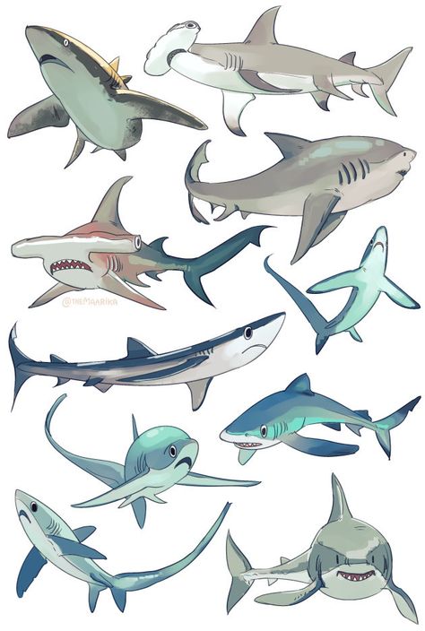 (42) 50% sea 50% weed sur Tumblr Shark Concept Art, Shark Person, Cute Shark Drawing, Shark Drawings, Shark Sketch, Sea Creatures Drawing, Shark Pictures, Sea Creatures Art, Shark Drawing