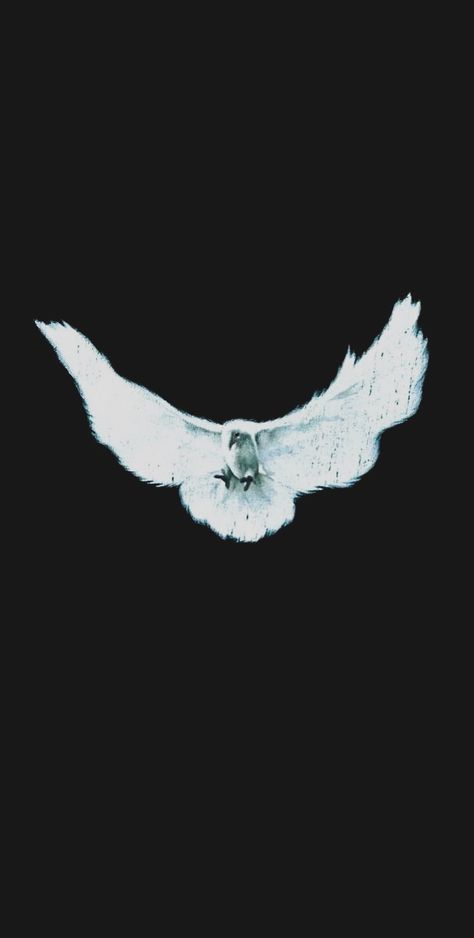 Kanye West Vultures Wallpaper, Kanye Aesthetic Wallpaper, Kanye Tattoo Ideas, Yeezy Wallpaper, Ye Wallpaper, Kanye Tattoo, Kanye West Wallpaper, Chill Wallpaper, Dove Pictures