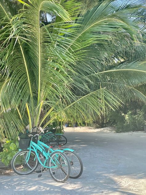 Beach Green Aesthetic, Green Travel Aesthetic, Green Widgets Aesthetic, Green Aesthetic Beach, Green Beach Aesthetic, Widgets Summer, Green Summer Aesthetic, Bikes Aesthetic, Green Aesthetic Summer