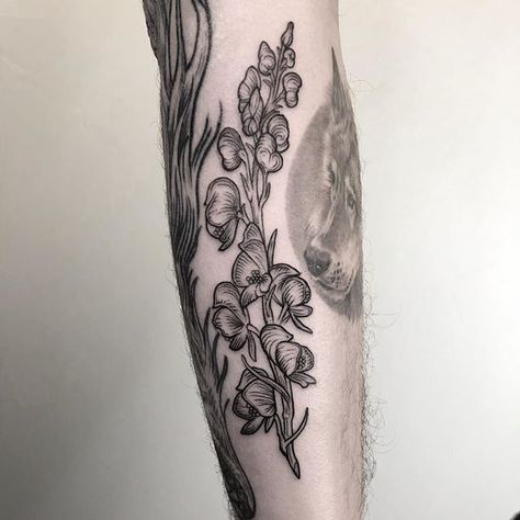 Vinny Valdez (@_vinz_) • Instagram photos and videos Wolfsbane Flower, Inktober Ideas, Victorian Tattoo, Scandinavian Tattoo, Etching Tattoo, Tattoo Apprenticeship, Floral Tattoo Sleeve, Flower Tattoo Sleeve, Tattoo Style Drawings