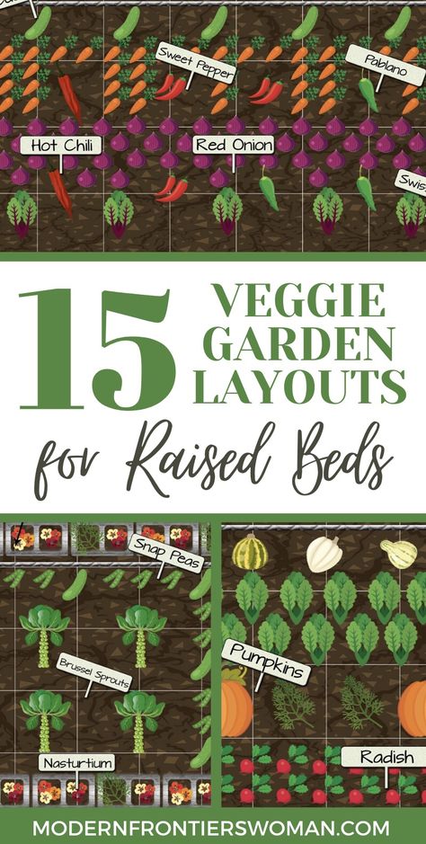 Small Home Garden Ideas Vegetables, Raised Metal Garden Beds Layout, 2x4 Raised Garden Bed, Raised Veggie Gardens, Raised Bed Garden Layout, Veggie Garden Layout, Raised Garden Beds Diy Vegetables, Garden Bed Layout, Vegetable Beds Raised