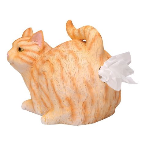 Pilates Workout, Funny Orange, Orange Tabby Cat, Orange Tabby Cats, Cat Items, Orange Tabby, Tissue Holder, Orange Cat, Buy A Cat