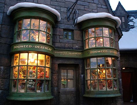 hogsmeade harry potter - Google Search Dogweed Deathcap, Aesthetic Kingdom, Hogsmeade Village, Harry Potter Wiki, Harry Potter Set, Harry Potter Shop, Universal Studio, The Wizarding World Of Harry Potter, Diagon Alley