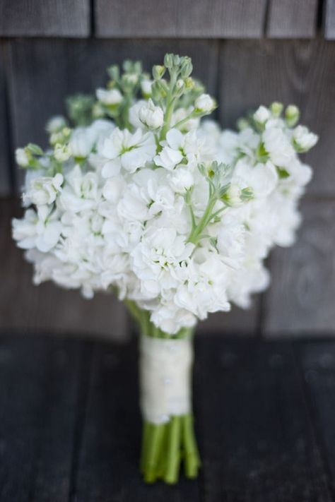 Stock Bridesmaid Bouquet, Stock Wedding Bouquet, Simple Bridesmaid Bouquets, Yellow Wedding Bouquet, Bridesmaid Bouquet White, Nantucket Wedding, White Bridesmaid, Stock Flower, White Stock