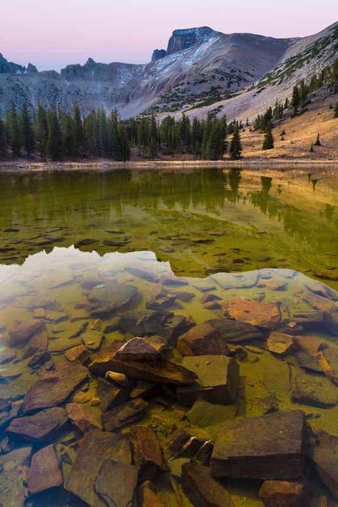 The Ultimate Guide to Great Basin National Park Camping 4 Nature, Park Ranger Aesthetic, Nevada National Parks, Us National Forests, Vacation 2023, Great Basin National Park, National Park Camping, Great Basin, Bubble Wall