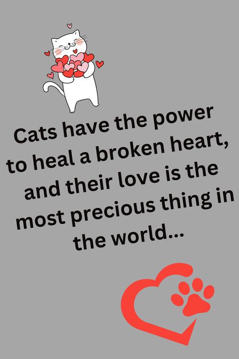 Best Cat Quotes, Cat Lovers Quotes Heart, Cat Bios Instagram, Cat Quotes Love, Cat Person Quotes, Cat Lover Quotes, Pet Heaven, Animal Sayings, Kitty Illustration