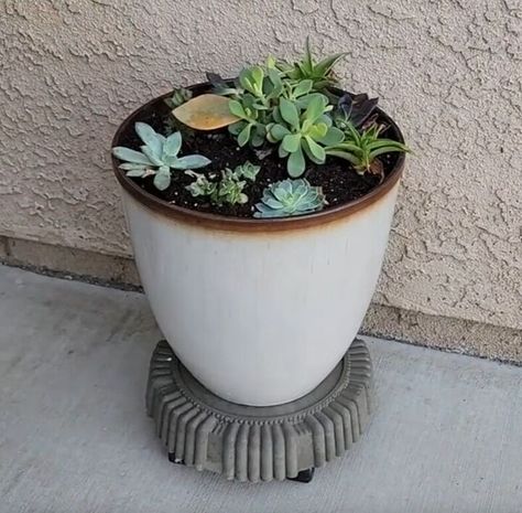 Concrete Decor Diy, Plant Caddy, Porch Planters, Plant Stands Outdoor, Modern Plant Stand, Mix Concrete, Plant Stand Ideas, Outdoor Plant, Concrete Crafts