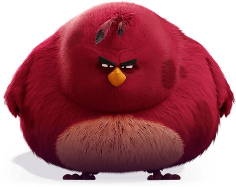 Terence Da Biggest Bird, Biggest Bird, Angry Bird, Angry Birds, Birds