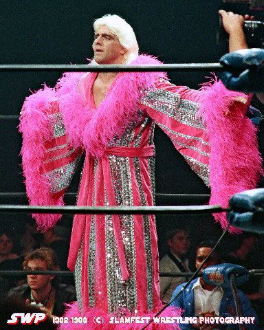 the nature boy Nature, Rick Flair, Wrestling Shorts, Nwa Wrestling, Famous Wrestlers, Lessons In Life, Wwe Outfits, Wrestling Gear, Beautiful Photoshoot Ideas