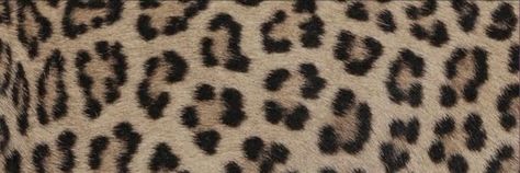 Animal Print Y2k, Y2k Header, Twt Layout, Brown Y2k, Print Twitter, Leni Klum, Cute Headers For Twitter, Twitter Backgrounds, Twitter Header Pictures