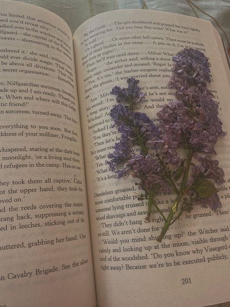 #books #academia #aesthetic #witcher #lilac #reading Lilac Books Aesthetic, Light Purple Royalty Aesthetic, Dusty Lilac Aesthetic, Flower Academia Aesthetic, Light Academia Aesthetic Purple, Purple Aesthetic Academia, Lavender Academia Aesthetic, Lavender Asthetics Photos, Purple Hands Aesthetic