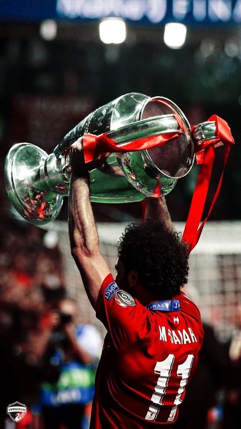 Liverpool Football Team, Liverpool Football Club Players, Liverpool Fc Team, Mohamed Salah Liverpool, Liverpool Poster, Liverpool Football Club Wallpapers, Ynwa Liverpool, Liverpool Champions League, Liverpool Soccer