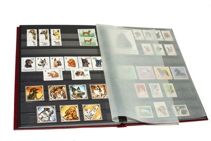 How to organize your postage stamp collection Stamp Album Ideas, Stamps Collection Display, Stamp Collecting Storage, Postage Stamp Storage, Postage Stamp Display, Stamp Collection Display, Stamp Collection Ideas, Stamp Envelope, Loose Leaf Binder