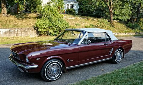 1966 Ford Mustang convertible. All original. Click to Find out more - http://fastmusclecar.com/1966-ford-mustang-convertible-all-original/ COMMENT. 1960 Mustang Convertible, Lasso Aesthetic, 1960 Mustang, 65 Mustang Convertible, Burgundy Car, 1966 Ford Mustang Convertible, White Mustang, Ford Mustang 1969, Hurst Shifter