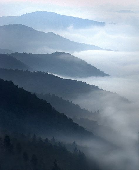 Smoky Mountains Cades Cove, Smokey Mountains Tennessee Pictures, Smokie Mountains, Yeah Nah, Mountains Tennessee, Smokey Mountain, Smoky Blue, Nc Mountains, Amazon Wishlist