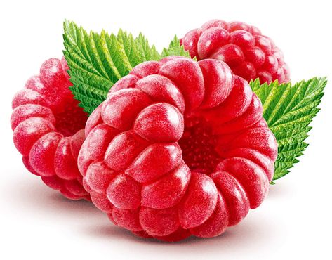 Raspberry food illustration and retouching Raspberry Painting, Raspberry Drawing, Raspberry Illustration, Raspberry Food, Food Illustration Design, Fruits Drawing, Raspberry Fruit, Watercolor Fruit, Fruit Photography