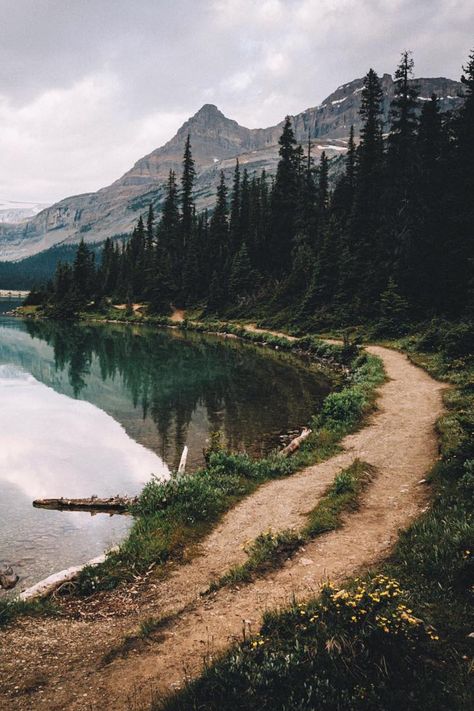 Nature, Forest And Lake Aesthetic, Lake Forest Aesthetic, Mountain Lake Aesthetic, Forest Lake Aesthetic, Forest Perspective, Landscape Photography Ocean, Lake Landscape Photography, Maine Forest