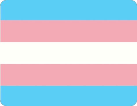 Trans Pride Flag, Gender Nonconforming, Trans Flag, Gender Flags, Laura Palmer, Lgbtq Flags, Lgbt Flag, Trans Pride, Retro Wall Art