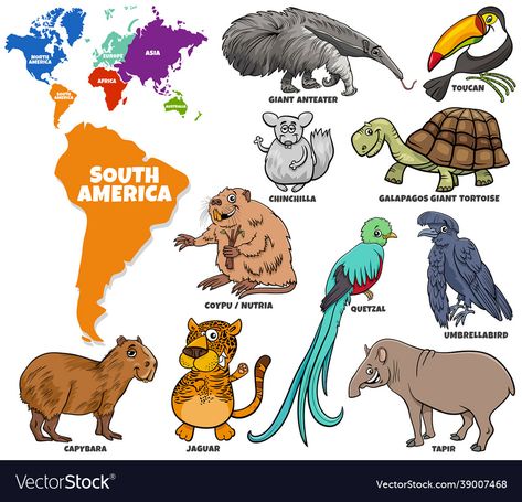 South American Animals, World Map With Continents, European Animals, Continents Activities, World Map Continents, Animals Around The World, Montessori Geography, Geography Activities, Educational Illustration